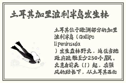 厨房一次又一次的冲刺精彩片段